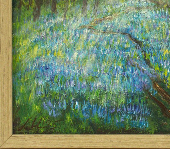 Bluebell woodland