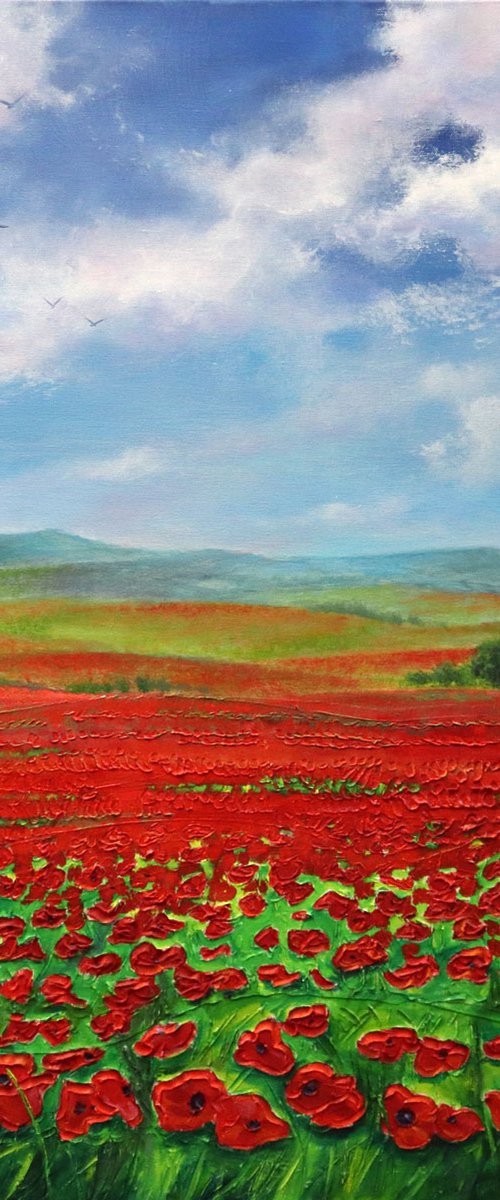 Fields In Bloom by Stella Dunkley