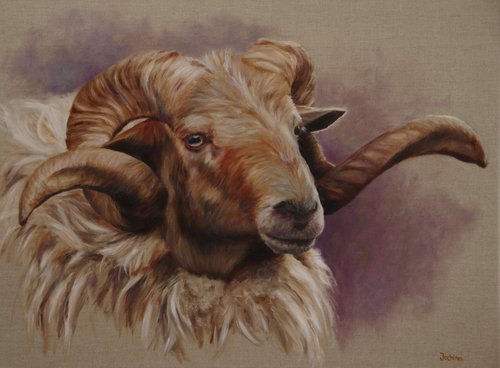 Sheep from Drenthe by Jochina van Kruistum