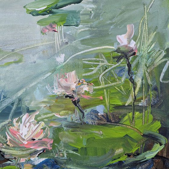 A little lily pond I