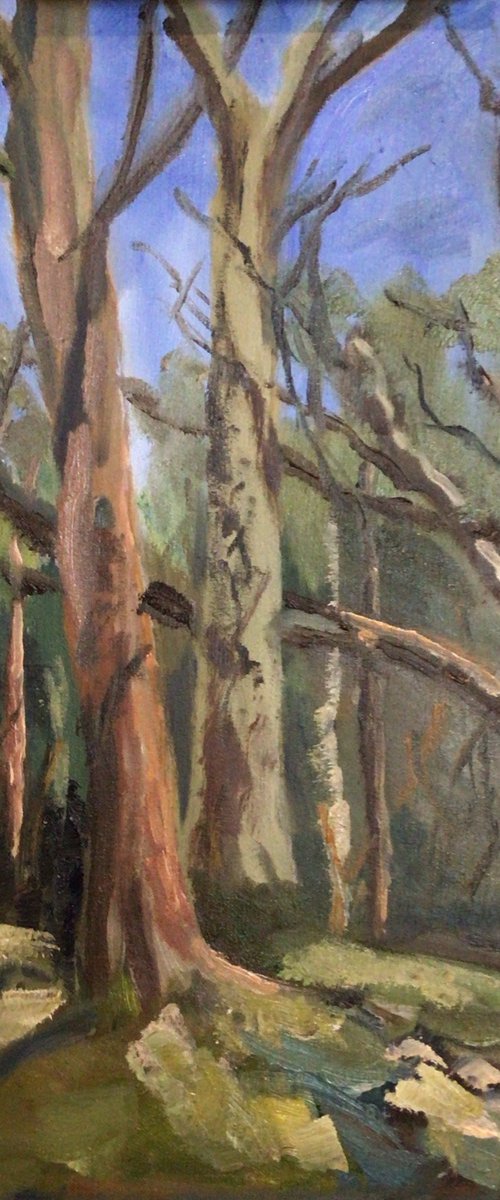 Woodland trees by Julian Lovegrove Art