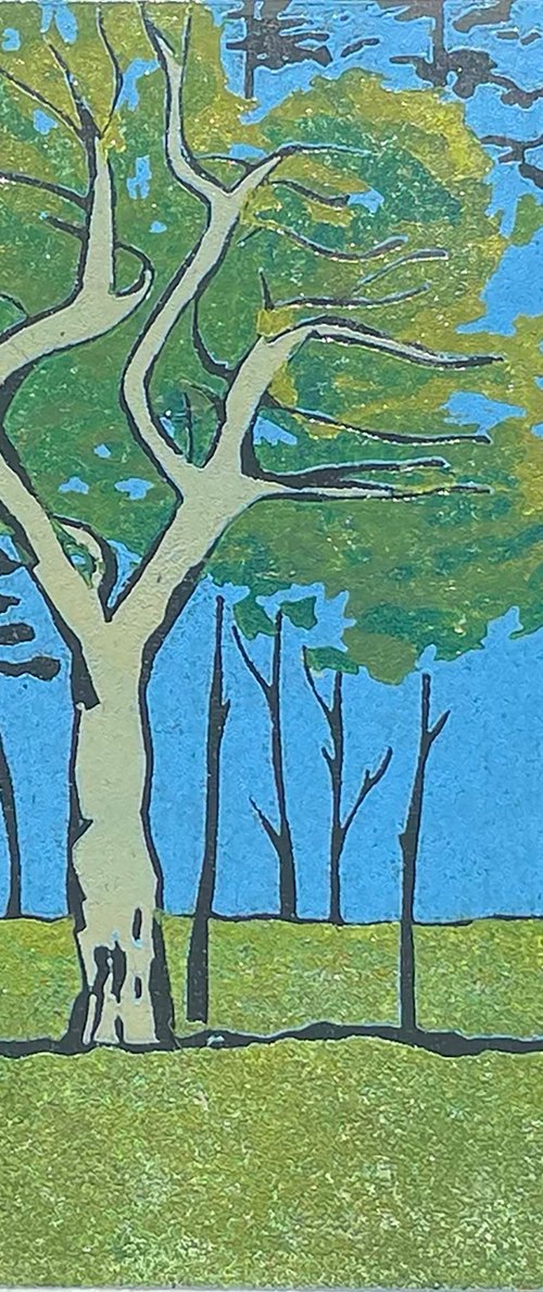 Tree line print- Pine Trees - Nature Linocut Print by C Staunton
