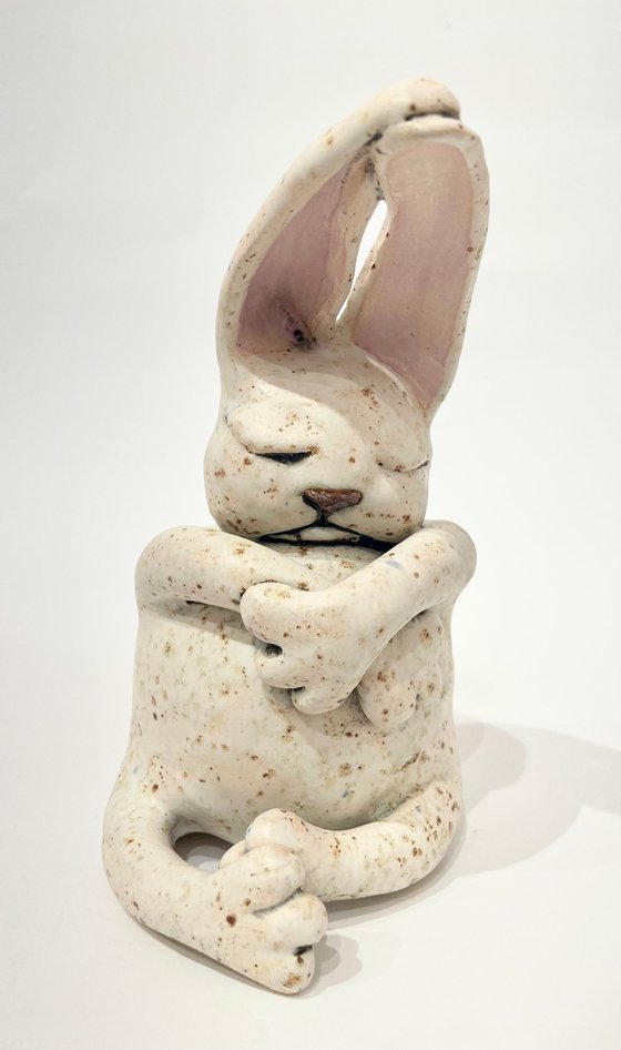 Dreamer Rabbit