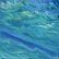 Water and Sky 5 by Hannah  Bruce