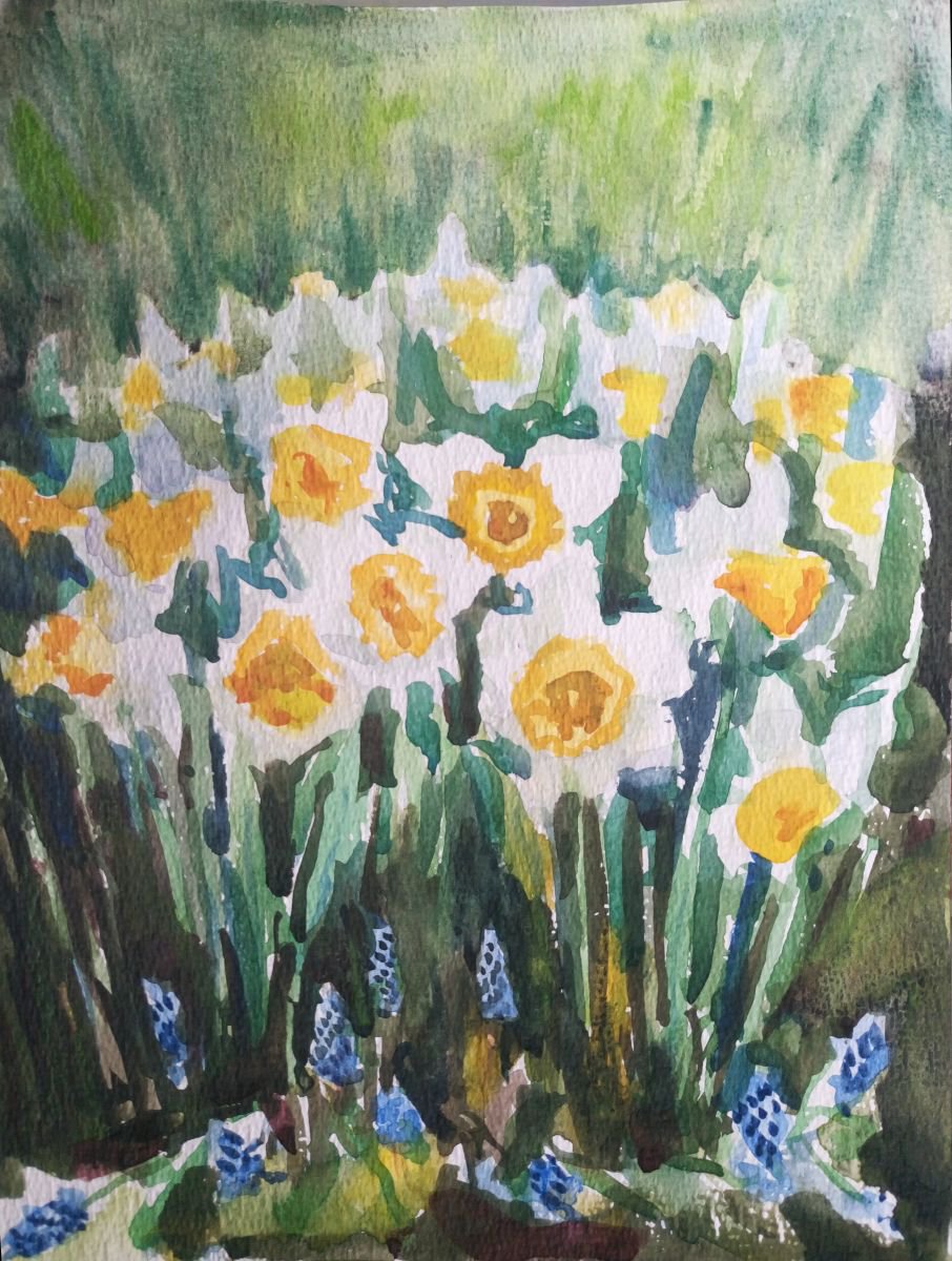 Hello Spring. (Daffodils and Muscari). (SMALL GIFT IDEA, FLOWERS, WATERCOLOR PAINTING) by Mag Verkhovets