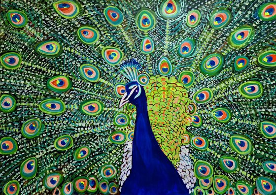 Peacock