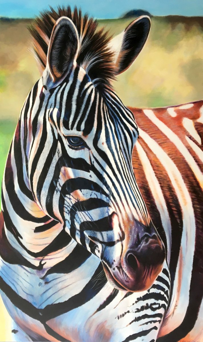 Zebra Portrait by Karl Hamilton-Cox