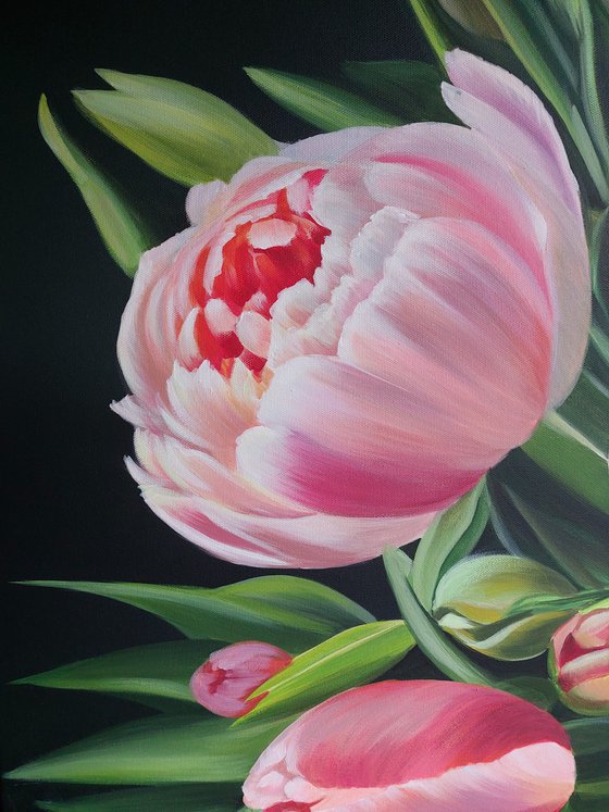 Peonies and tulips