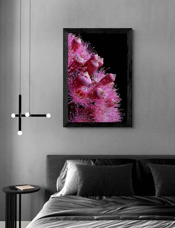 Summer Beauty Flowers