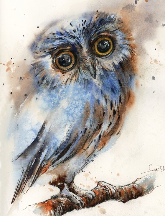 The Owl