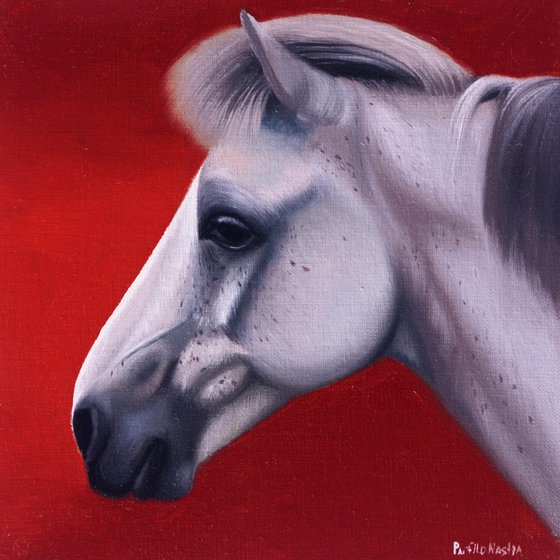 Horse Portrait 63