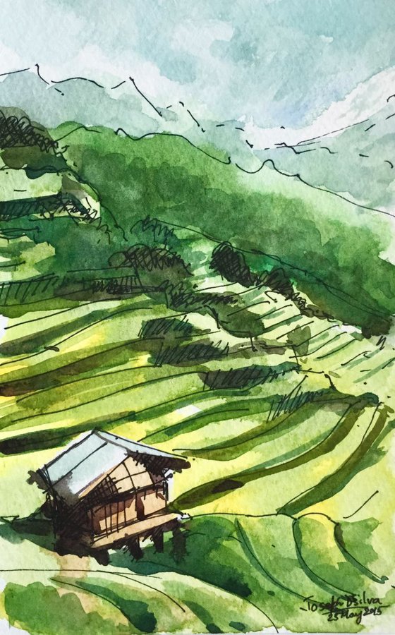 Vietnamese Landscape