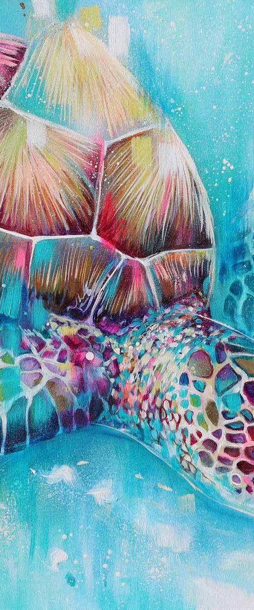 Ionian Cove by Sian Storey