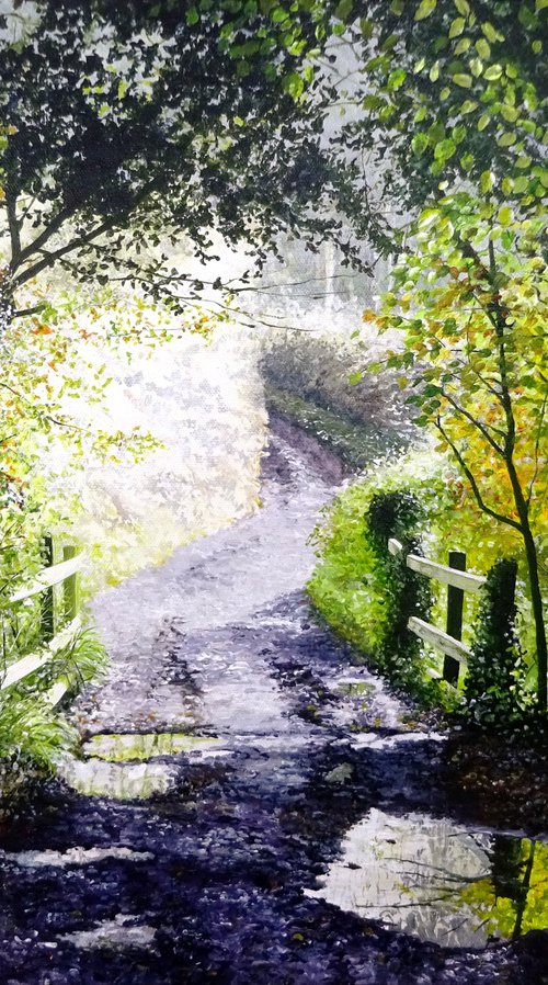 Autumn along the lane by Paula Oakley