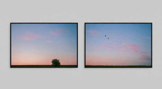On earth and in the sky (Diptych)