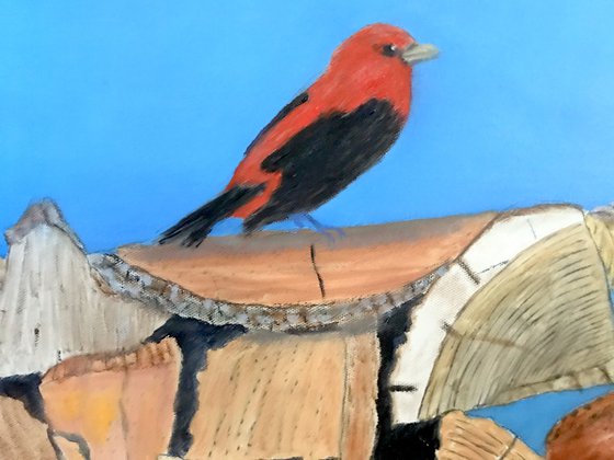BIRDS OF A FEATHER, SCARLET TANAGERS