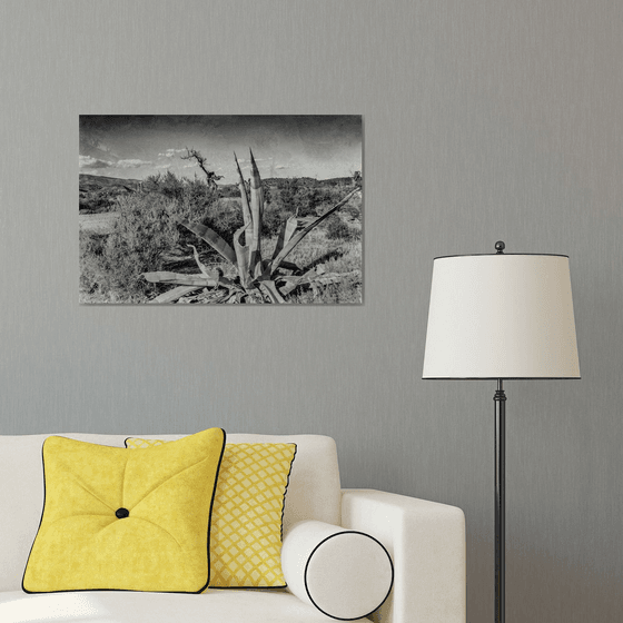 Paysage désertique au Cactus (Piezography)