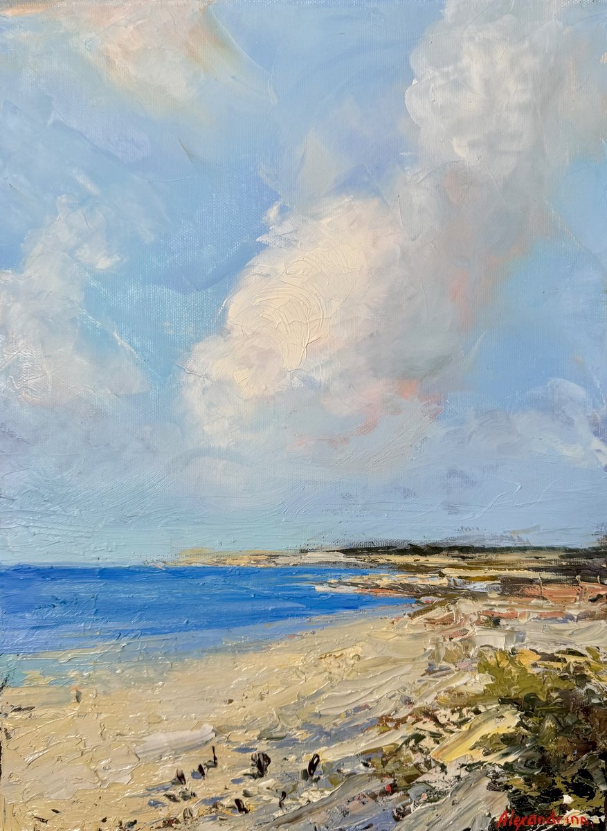 Impressionistic Landscape Oil Painting By Irina Alexandrina, 12 X 16, Big Sky. Ocean. #1, Original Artwork