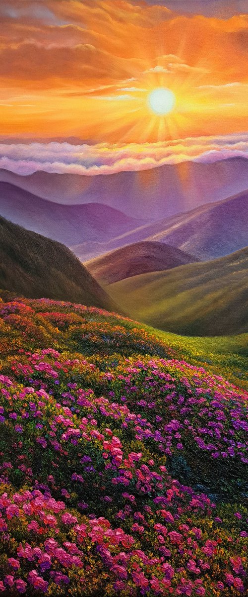 Magical sunset in the valley by Anna Steshenko