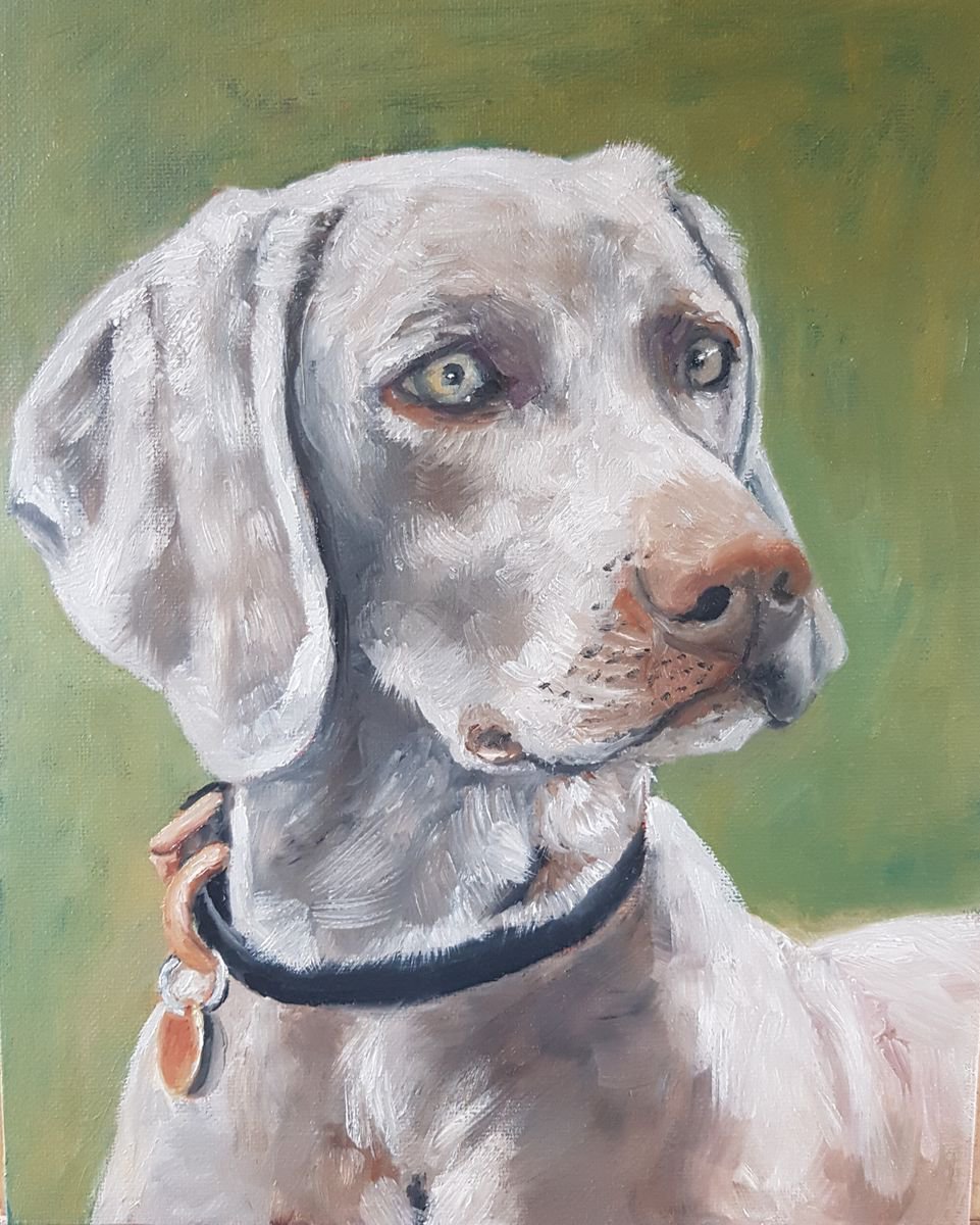 Impressionistic Animal Oil Painting By Els Driesen, 9 X 12, Weimaraner, Original Artwork
