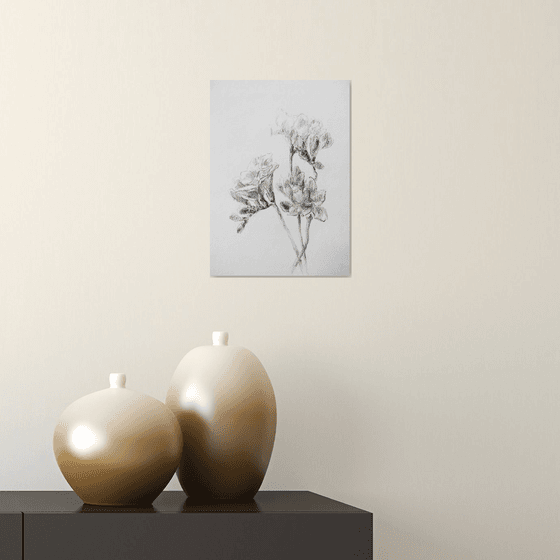 Freesias #1. Original pencil drawing.