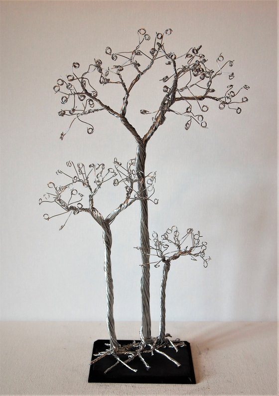 Silver tree, 3 Aspen's