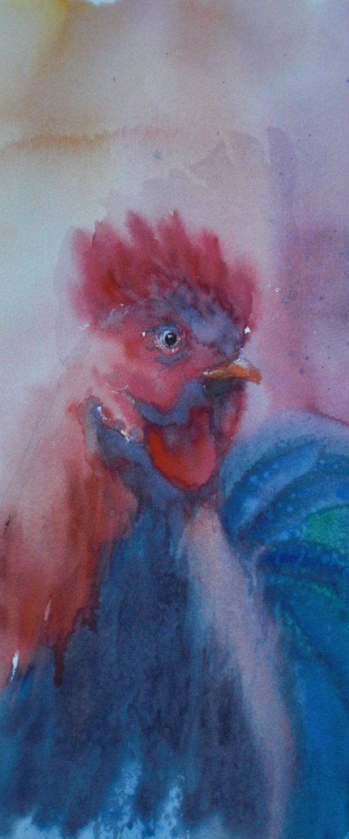 rooster 5 by Giorgio Gosti