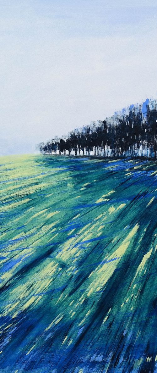 When the Light Comes - Versailles Diaries by Danijela Dan