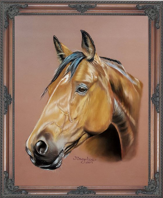 Pastel painting on Paper ,, Horse Aristo''