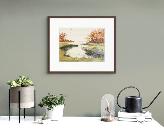 Meadow and Stream Reflections