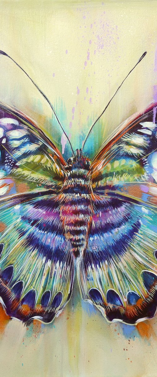 Sun Whisper by Sian Storey
