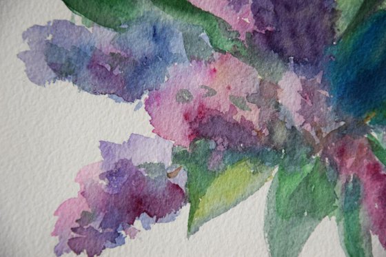 Flowers lilac Watercolor painting