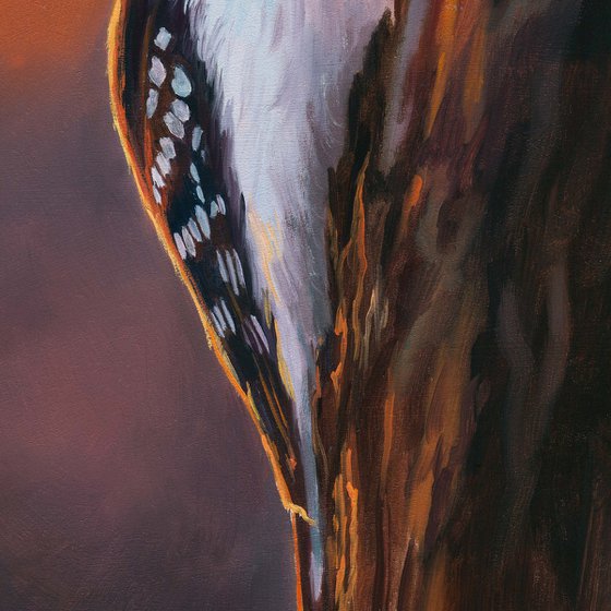 Downy woodpecker bird on a trunk