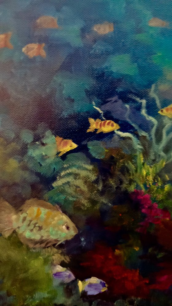 Pacific Reef