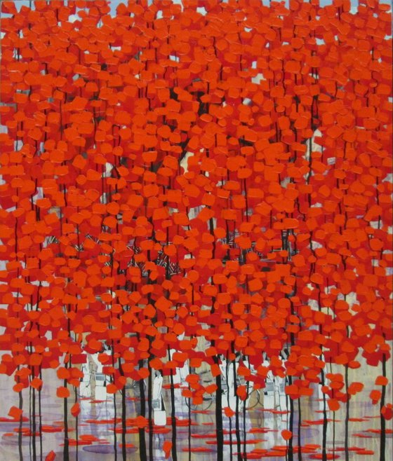 Rows of orange trees