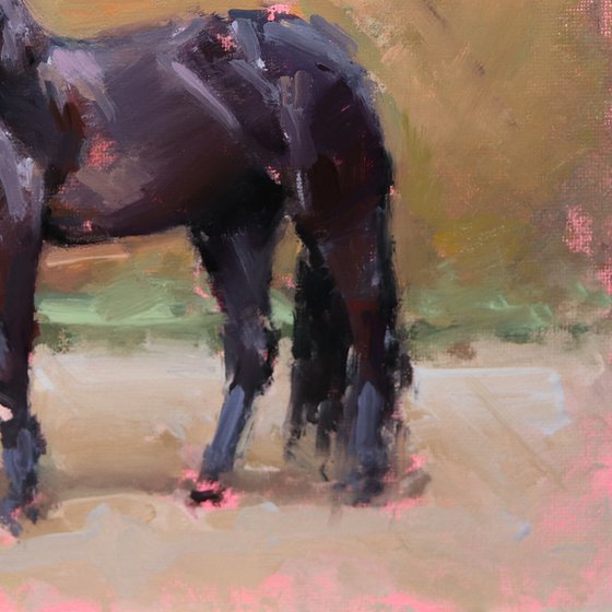 Black Horse Study