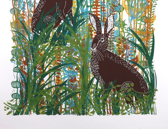 November Hares