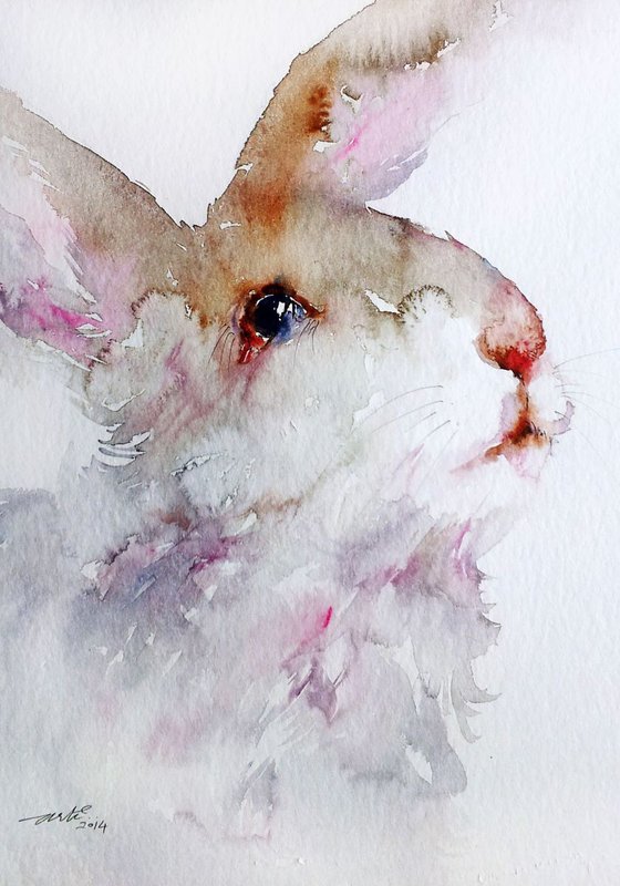 Woolly theWhite Rabbit