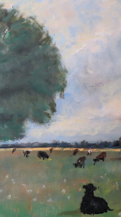 Cow Meadow by Malcolm Ludvigsen
