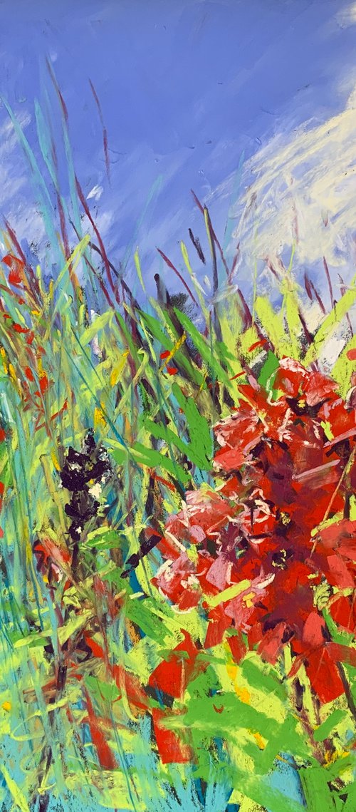 Phlox and Grasses by Andrew Moodie