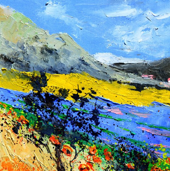 Lavender and poppies    in Provence