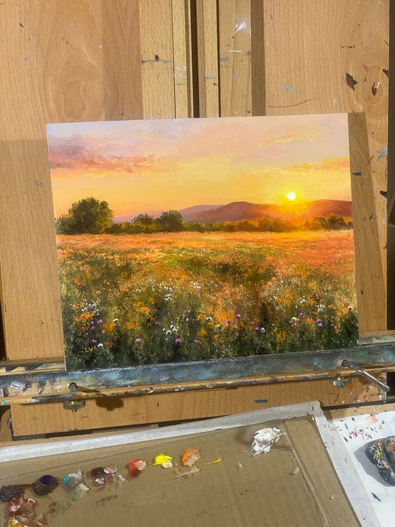 Golden sunset among wildflowers