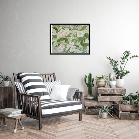 Orange Blossoms