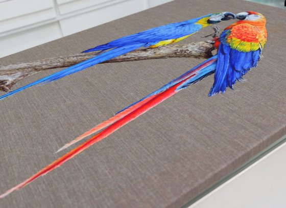 "Loving Macaws".
