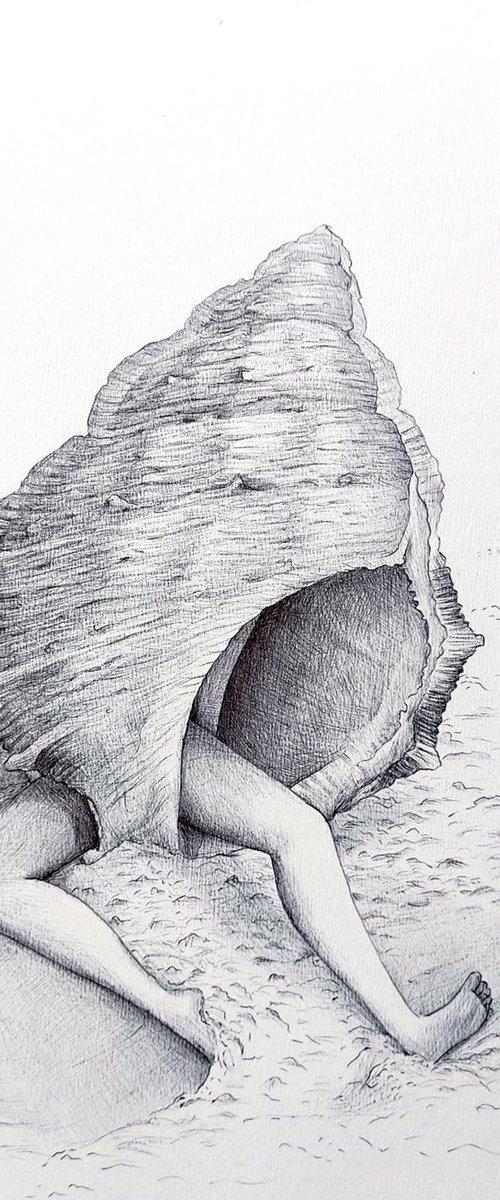 Shell with feet by Andromachi Giannopoulou