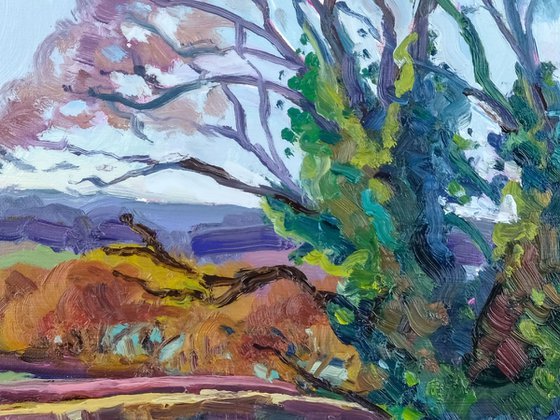 November Oak, Terrington