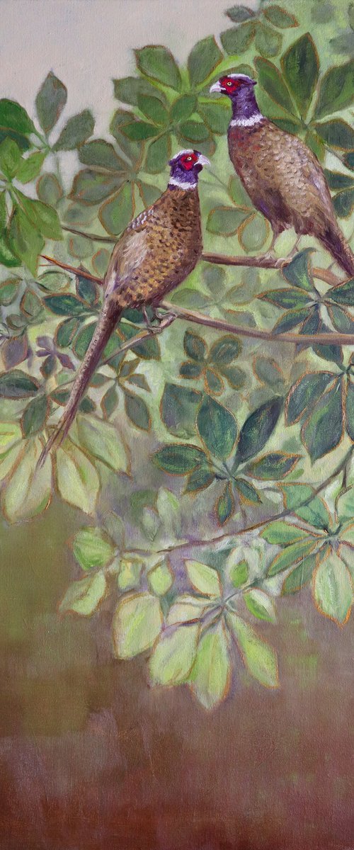 Pheasants by Katia Bellini