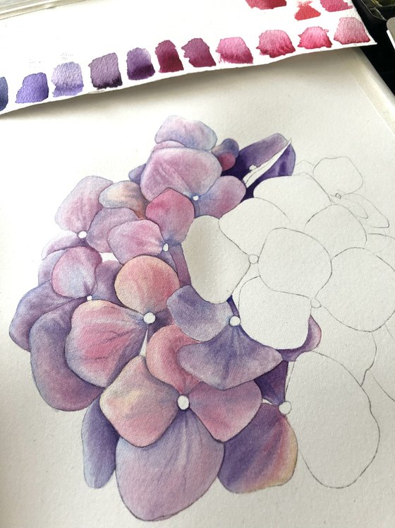 Hydrangea. Original watercolor artwork.