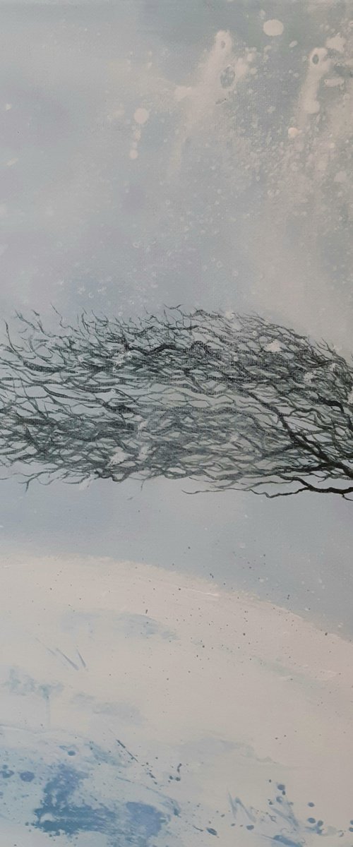 Windswept Tree Snowstorm by Richard Long