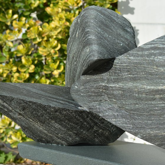 "Particular Insight"